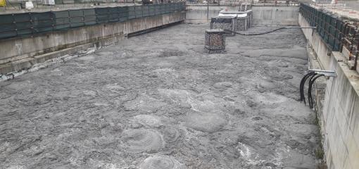 Flat roof