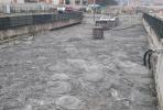 Flat roof
