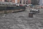 Flat roof