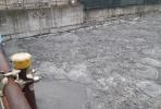 Flat roof