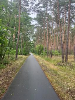 The end of the road
