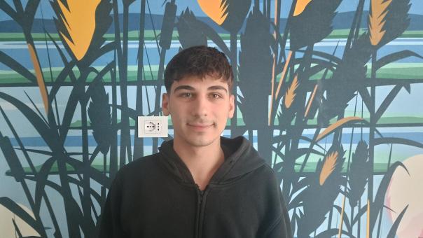 Here we introduce Riccardo